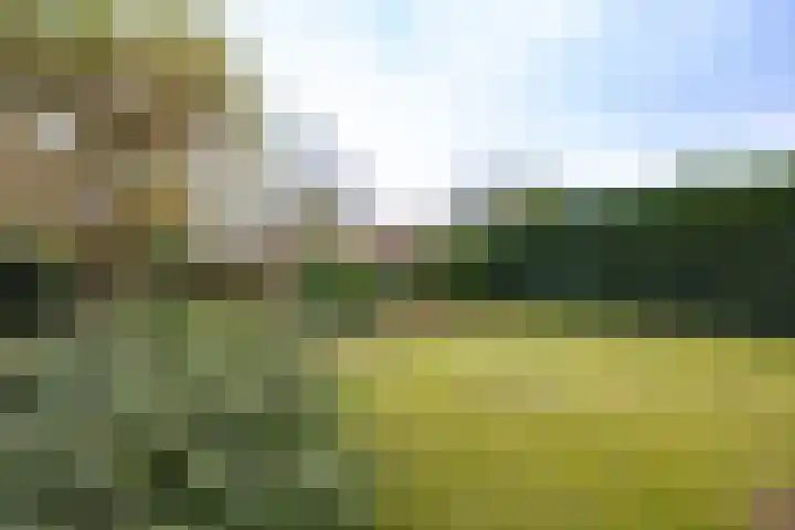 Sterrenbos 66 Well L thumbnail 39