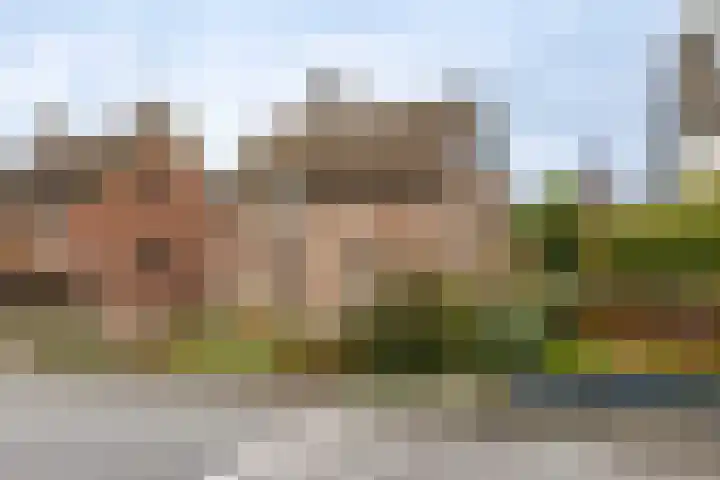 Sterrenbos 66 Well L thumbnail 4