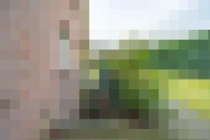 Sterrenbos 66 Well L thumbnail 41
