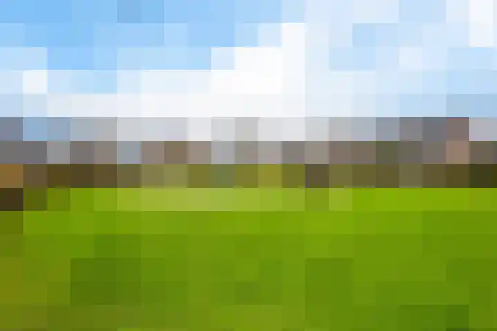 Sterrenboschstraat 14 Heerhugowaard thumbnail 7