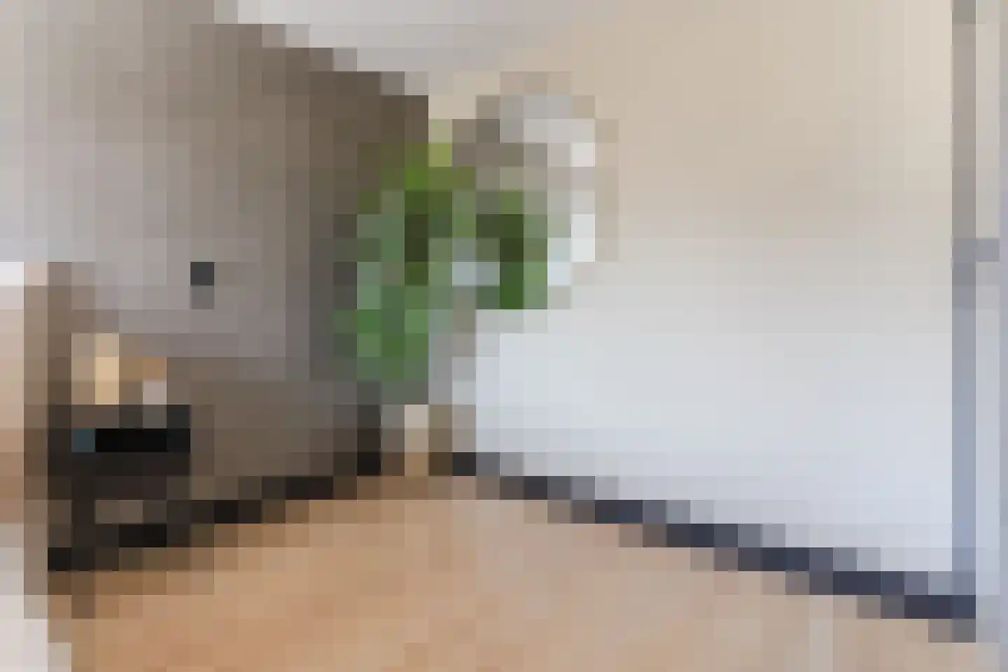 Sterrenboschstraat 6 Heerhugowaard thumbnail 17