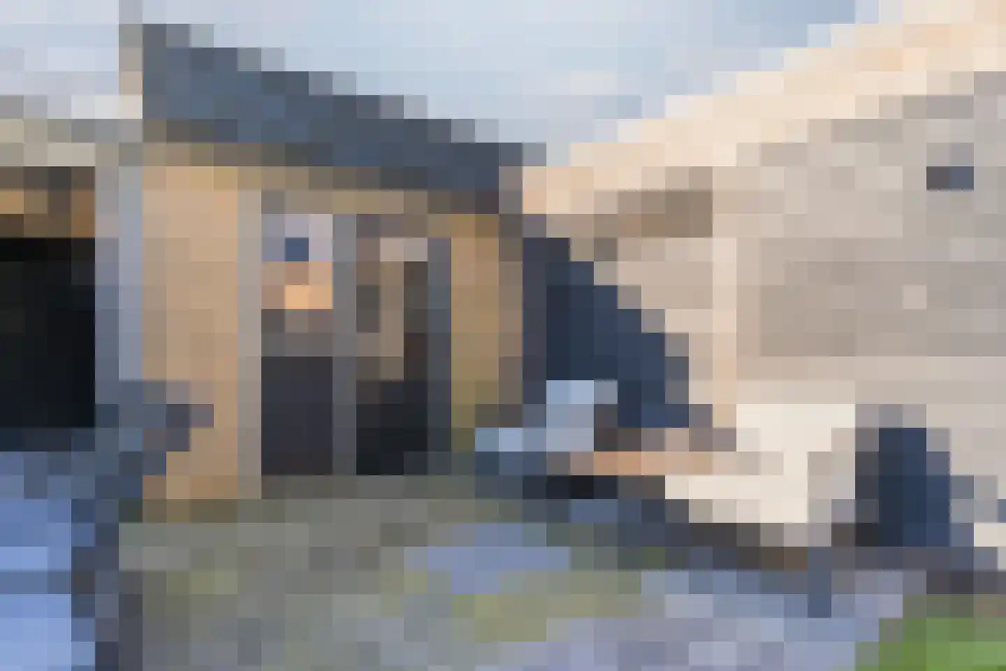 Sterrenboschstraat 6 Heerhugowaard thumbnail 34