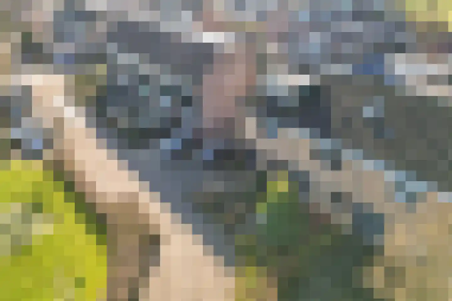 Sterrenboschstraat 6 Heerhugowaard thumbnail 36