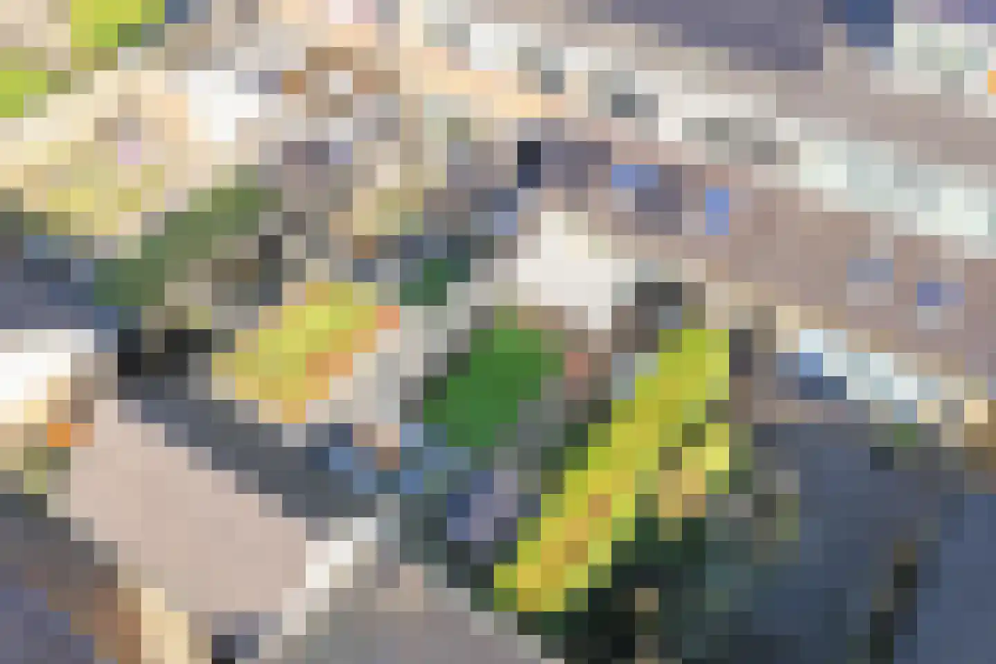 Sterrenboschstraat 6 Heerhugowaard thumbnail 37