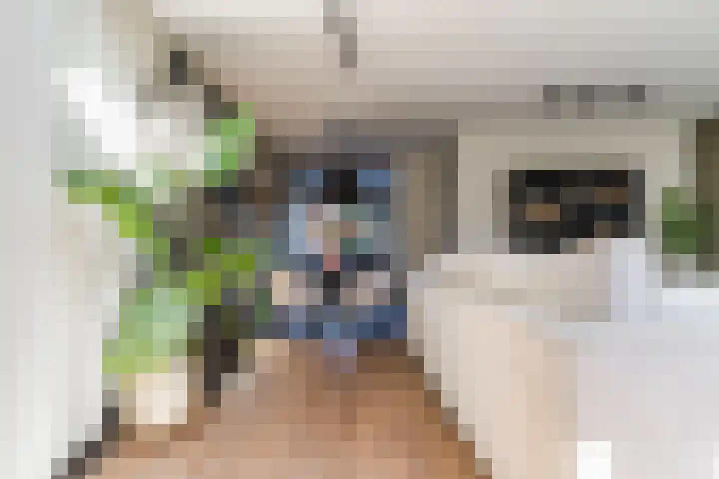 Sterrenboschstraat 6 Heerhugowaard thumbnail 5