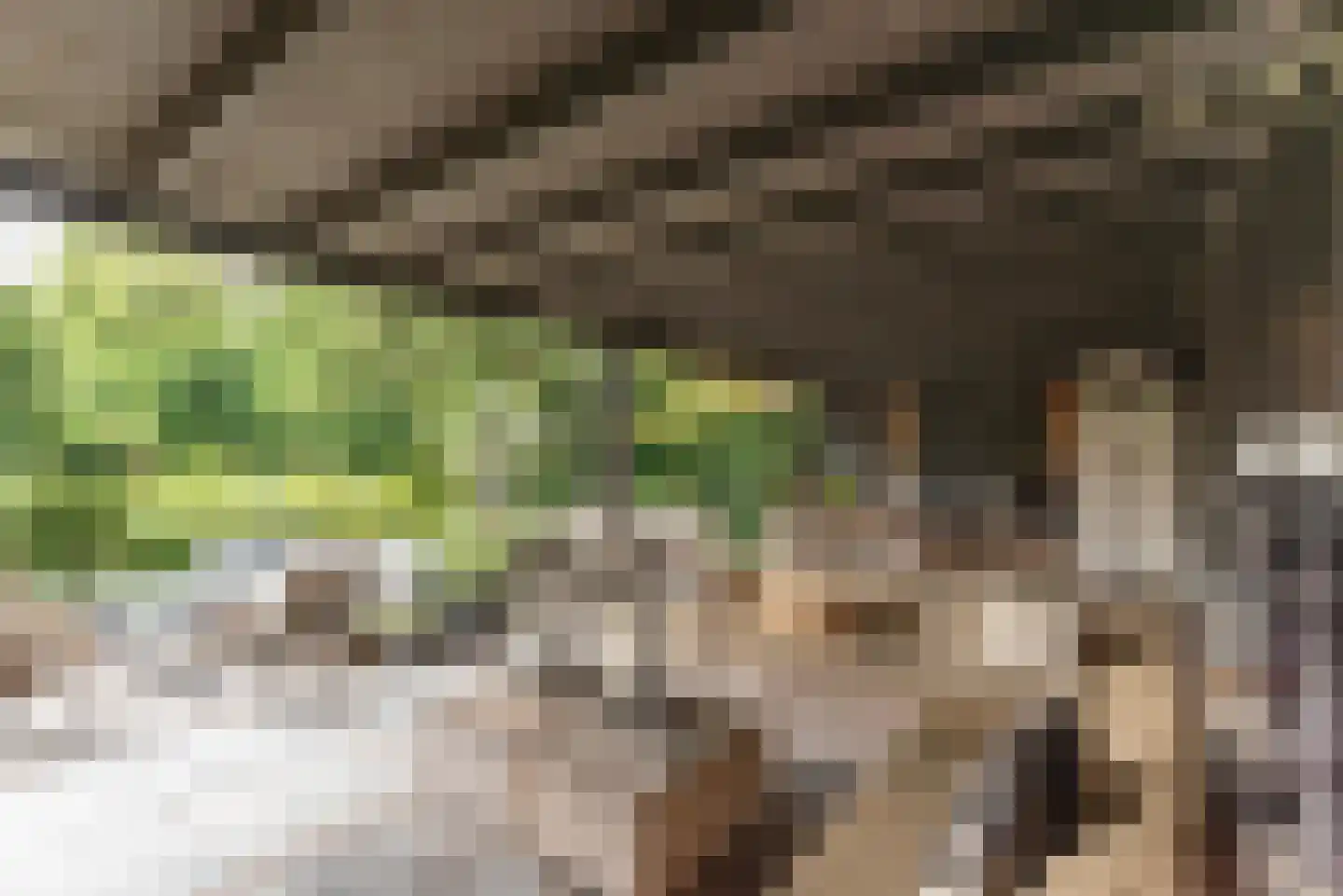 Sterrenboslaan 14 Driebergen-Rijsenburg thumbnail 17