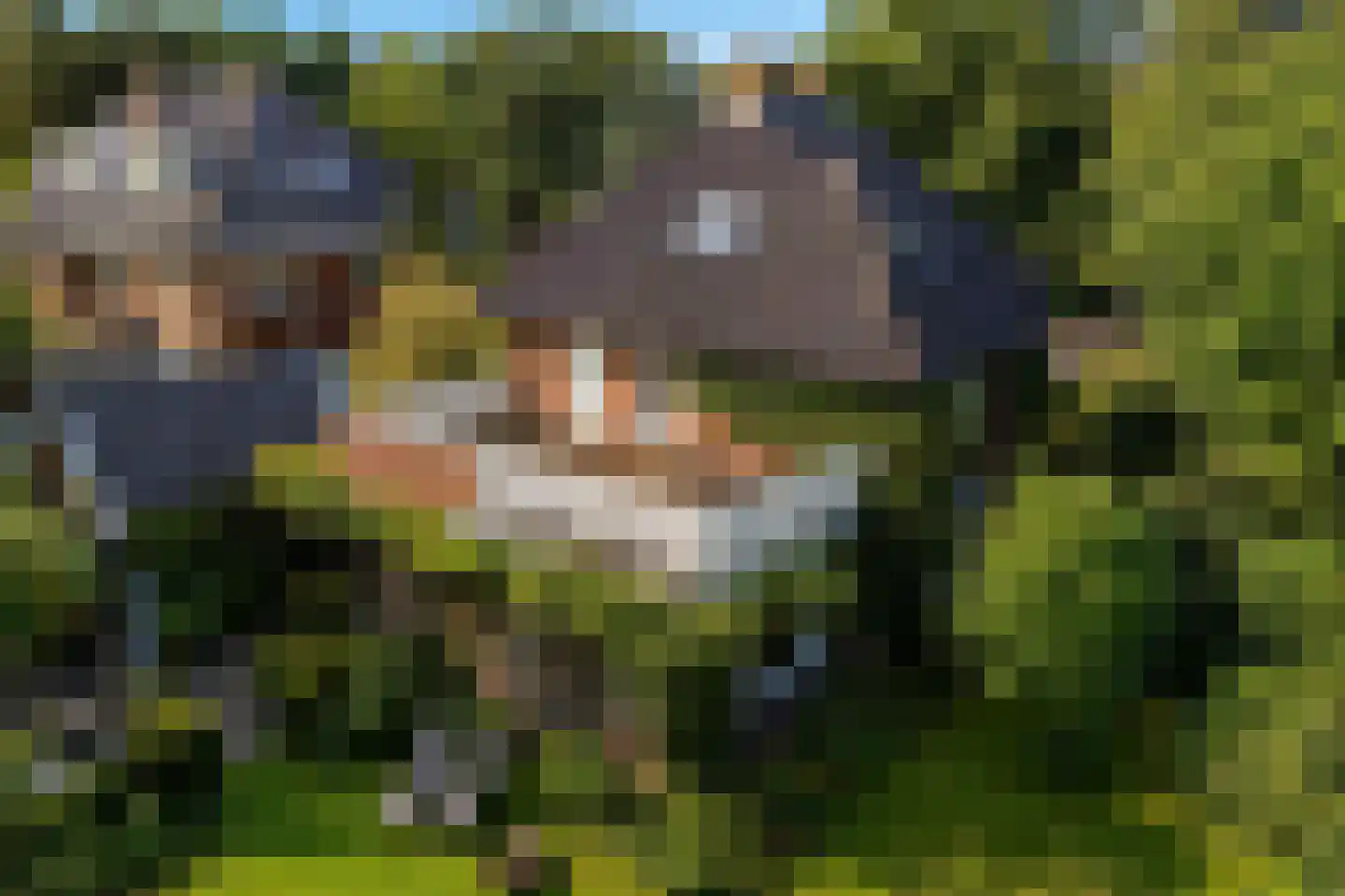 Sterrenboslaan 14 Driebergen-Rijsenburg thumbnail 32