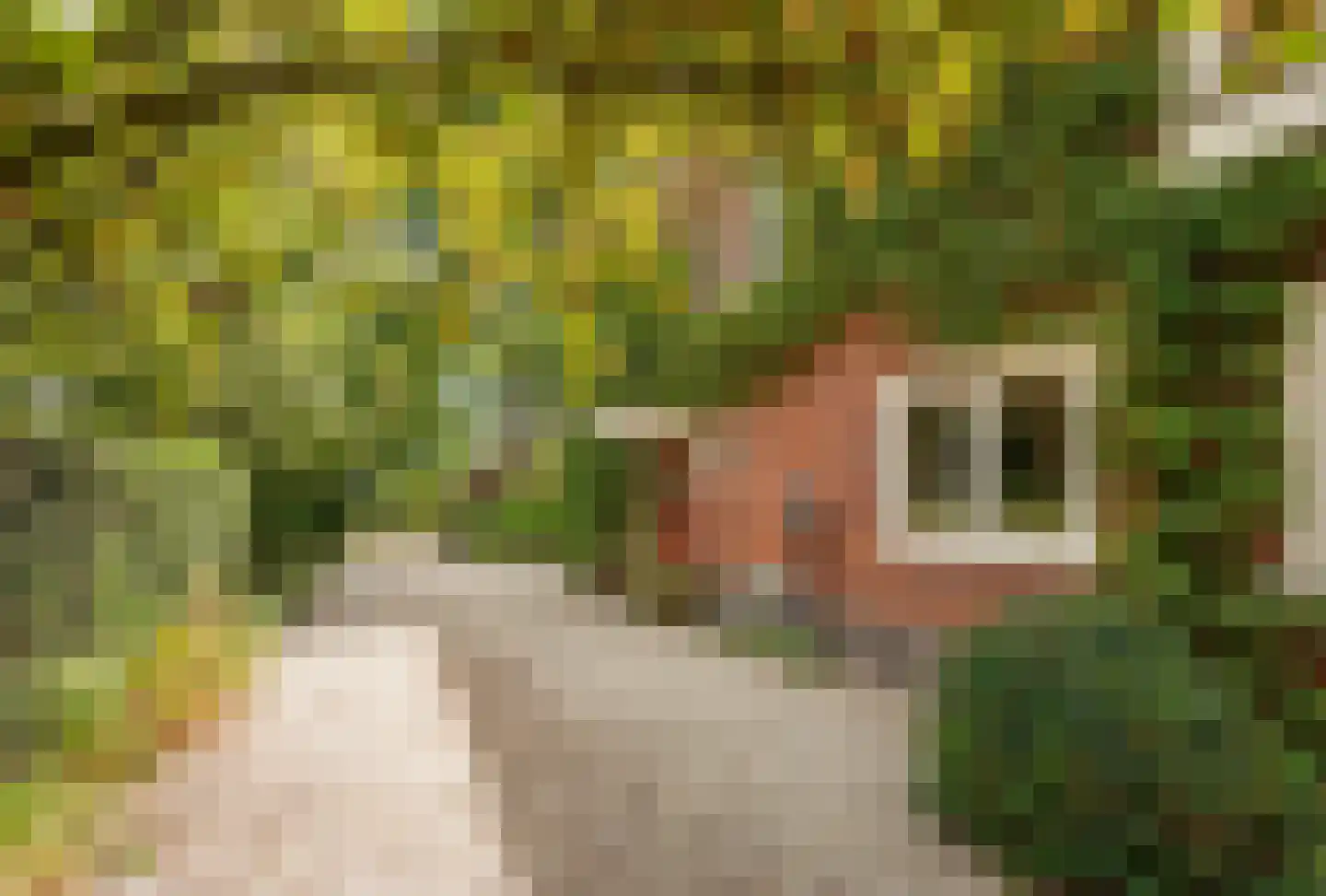 Sterrenboslaan 14 Driebergen-Rijsenburg thumbnail 33