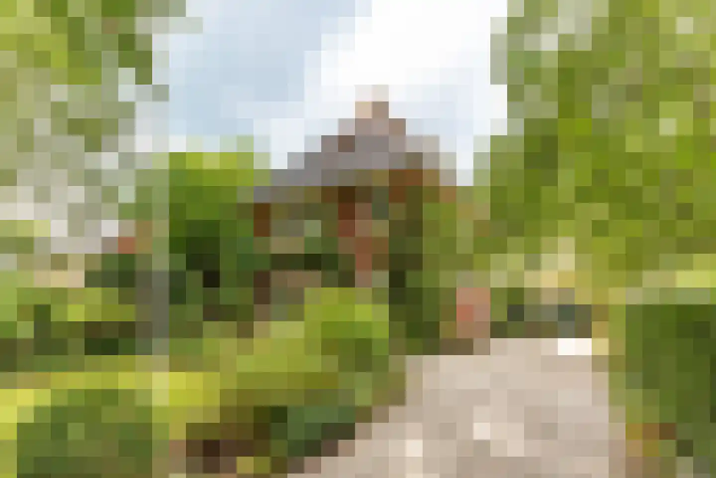 Sterrenboslaan 14 Driebergen-Rijsenburg thumbnail 34
