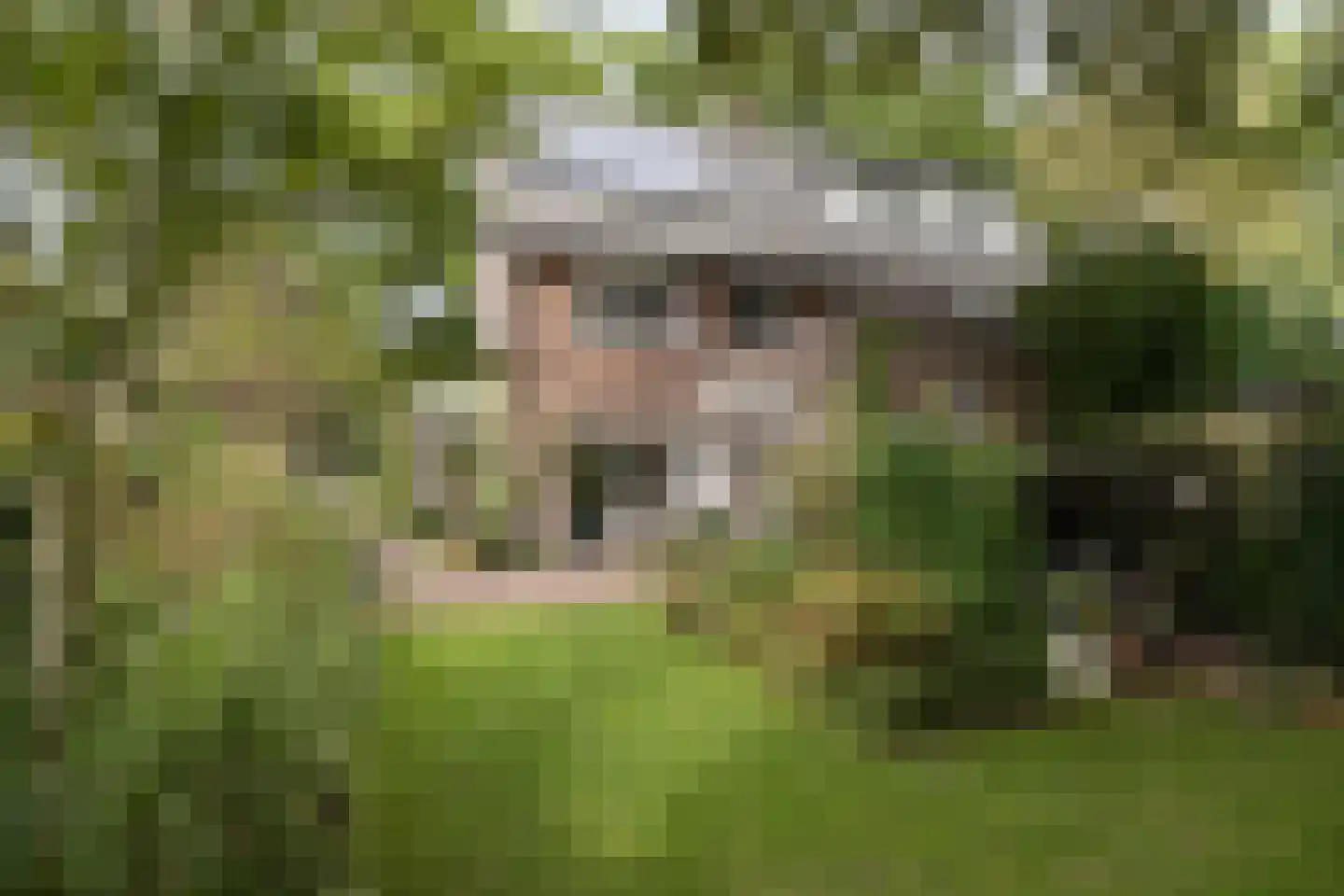 Sterrenboslaan 17 Driebergen-Rijsenburg thumbnail 4