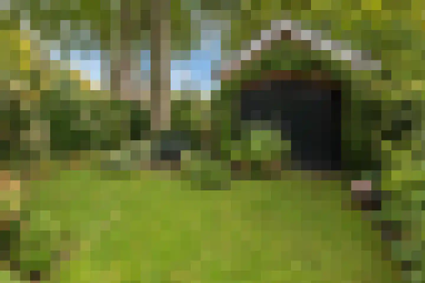 Sterrenboslaan 17 Driebergen-Rijsenburg thumbnail 41