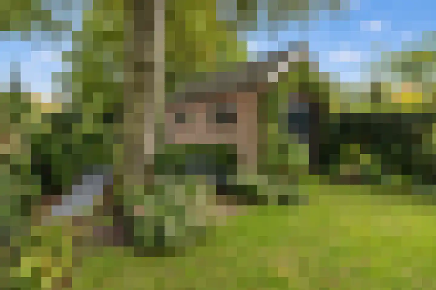 Sterrenboslaan 17 Driebergen-Rijsenburg thumbnail 42