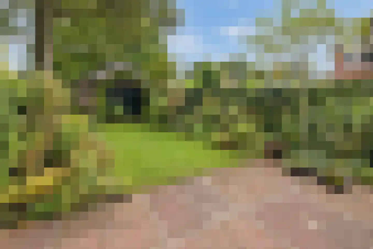 Sterrenboslaan 17 Driebergen-Rijsenburg thumbnail 46