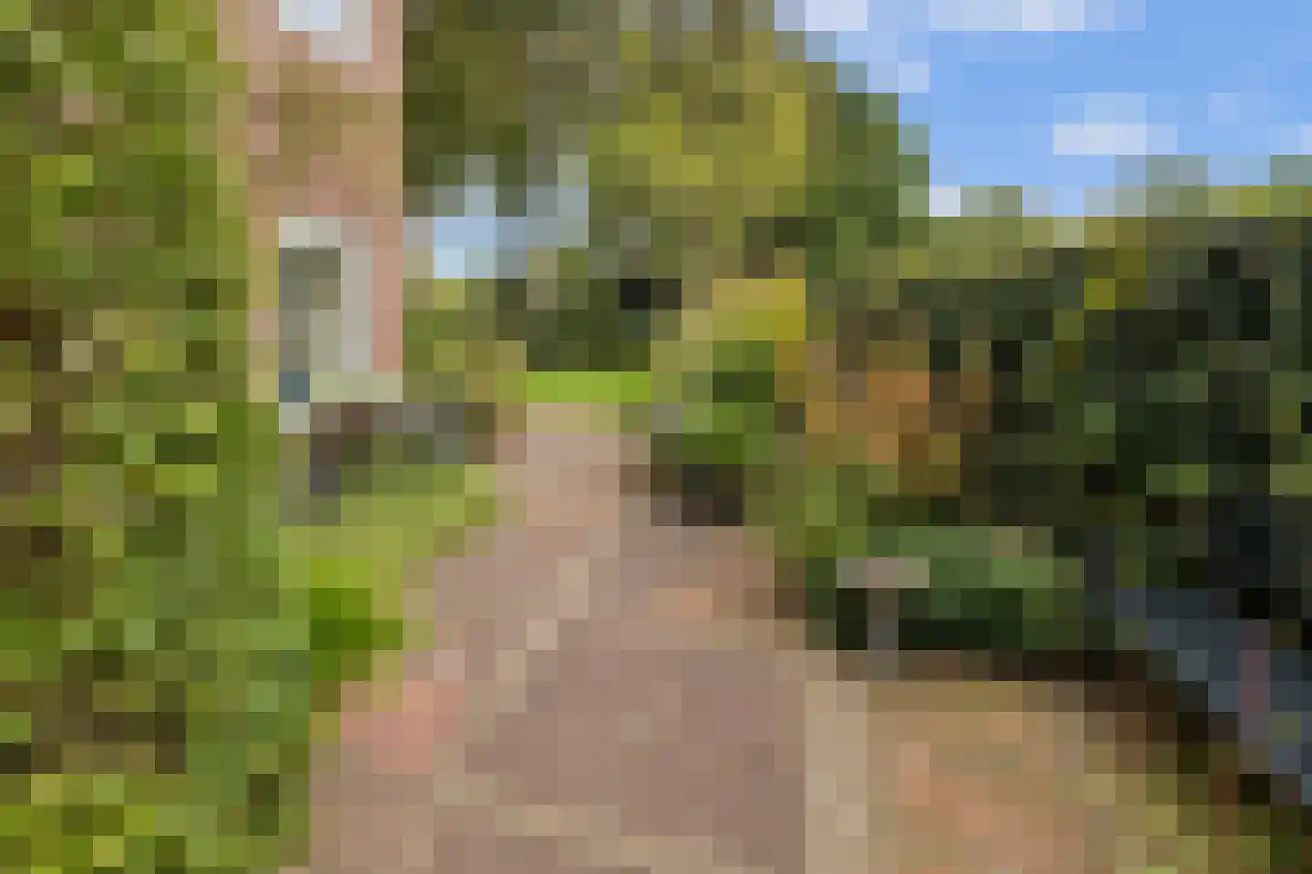 Sterrenboslaan 17 Driebergen-Rijsenburg thumbnail 47