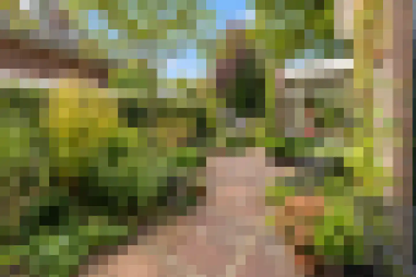 Sterrenboslaan 17 Driebergen-Rijsenburg thumbnail 48
