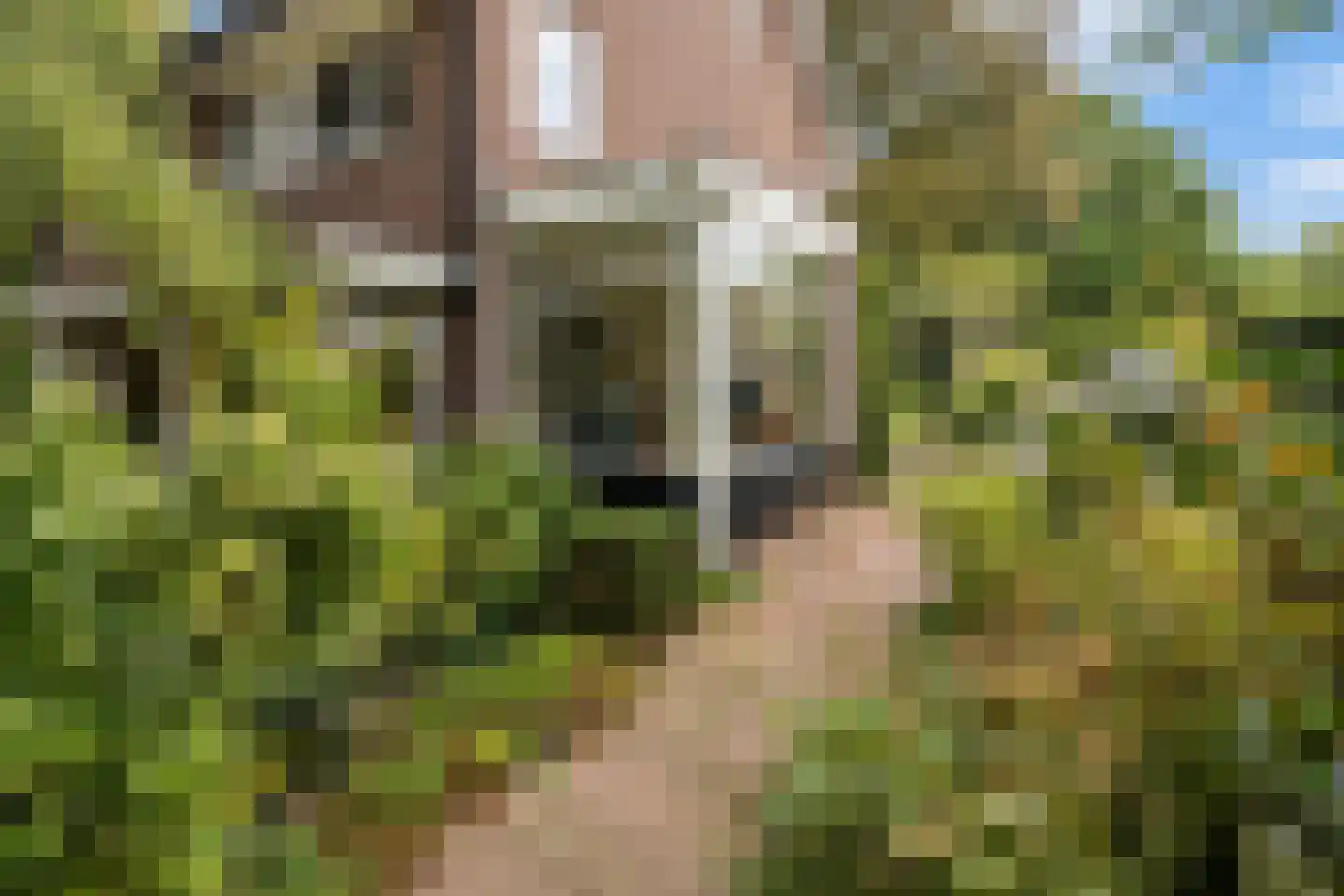 Sterrenboslaan 17 Driebergen-Rijsenburg thumbnail 50