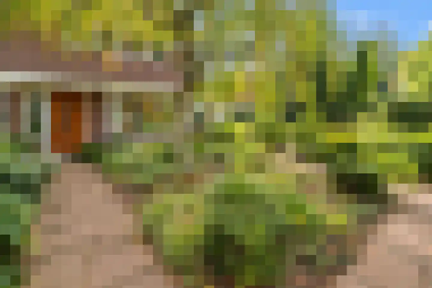 Sterrenboslaan 17 Driebergen-Rijsenburg thumbnail 51