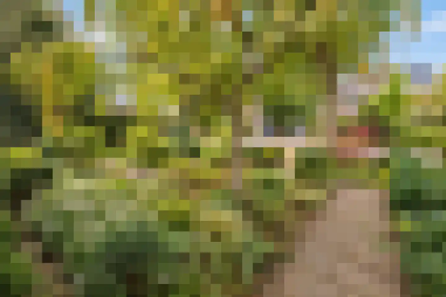 Sterrenboslaan 17 Driebergen-Rijsenburg thumbnail 52