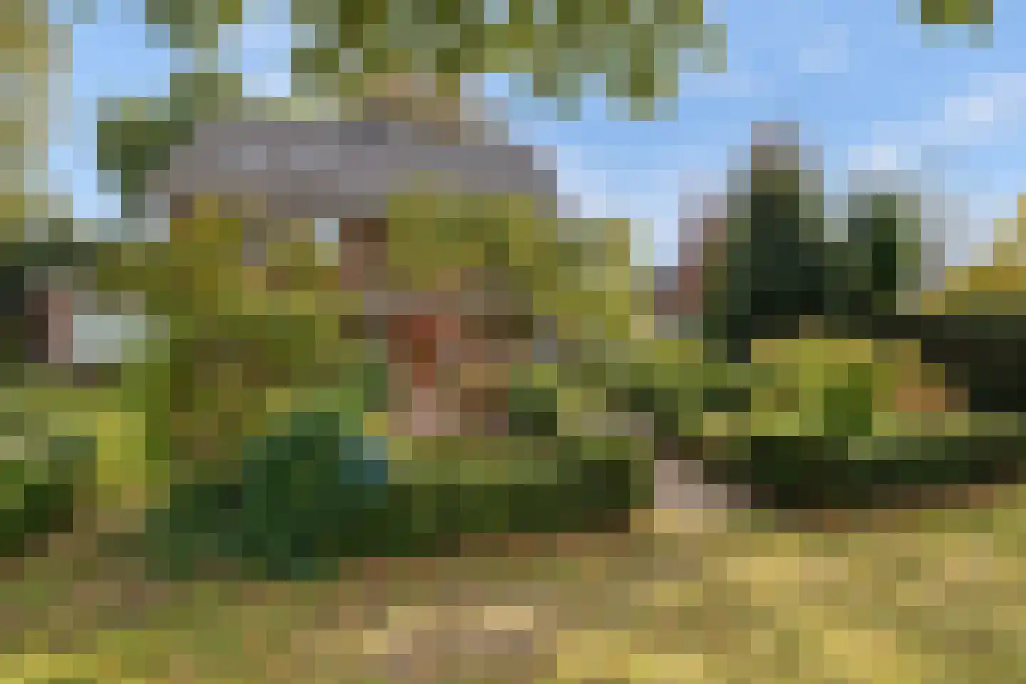 Sterrenboslaan 17 Driebergen-Rijsenburg thumbnail 53
