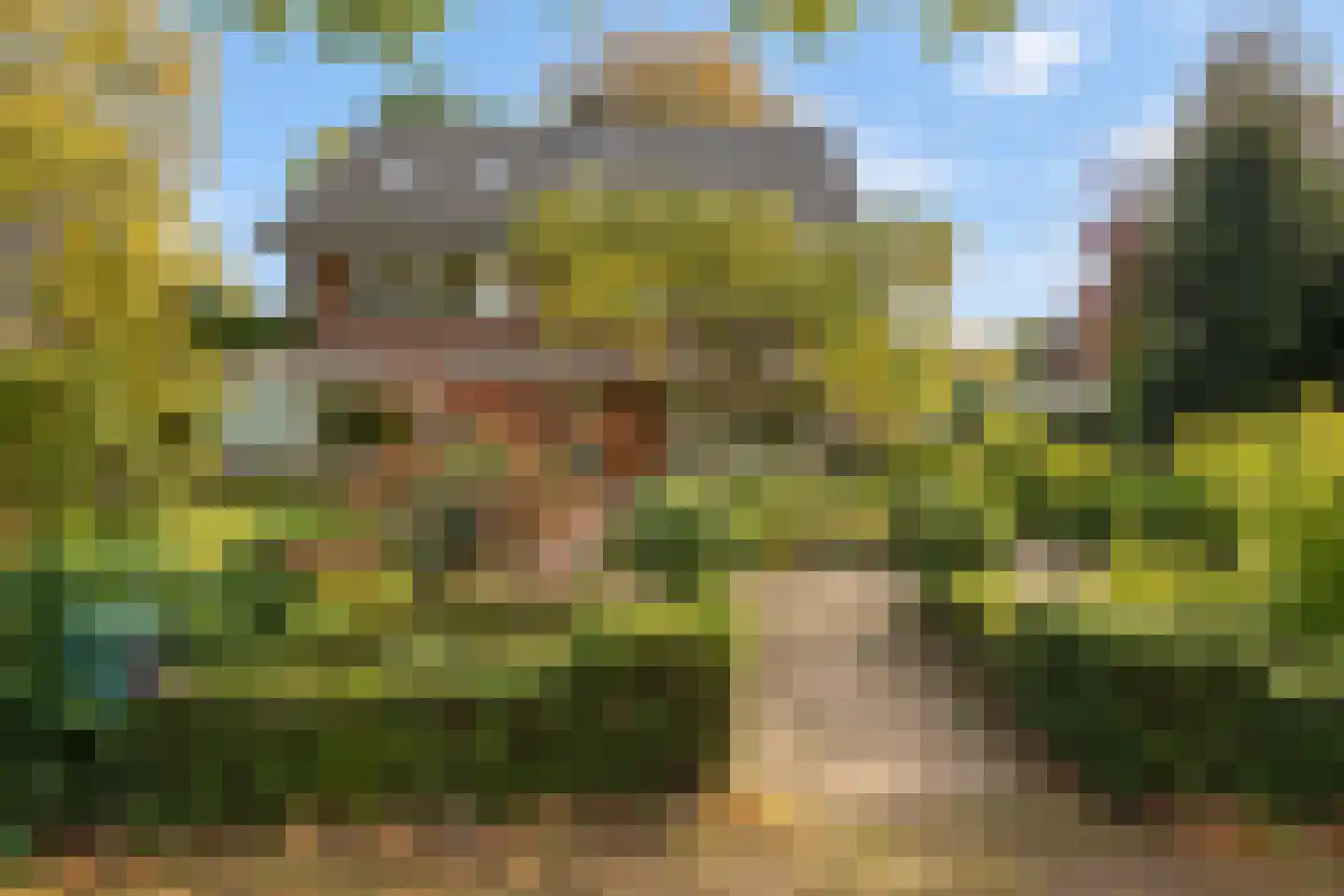 Sterrenboslaan 17 Driebergen-Rijsenburg thumbnail 54