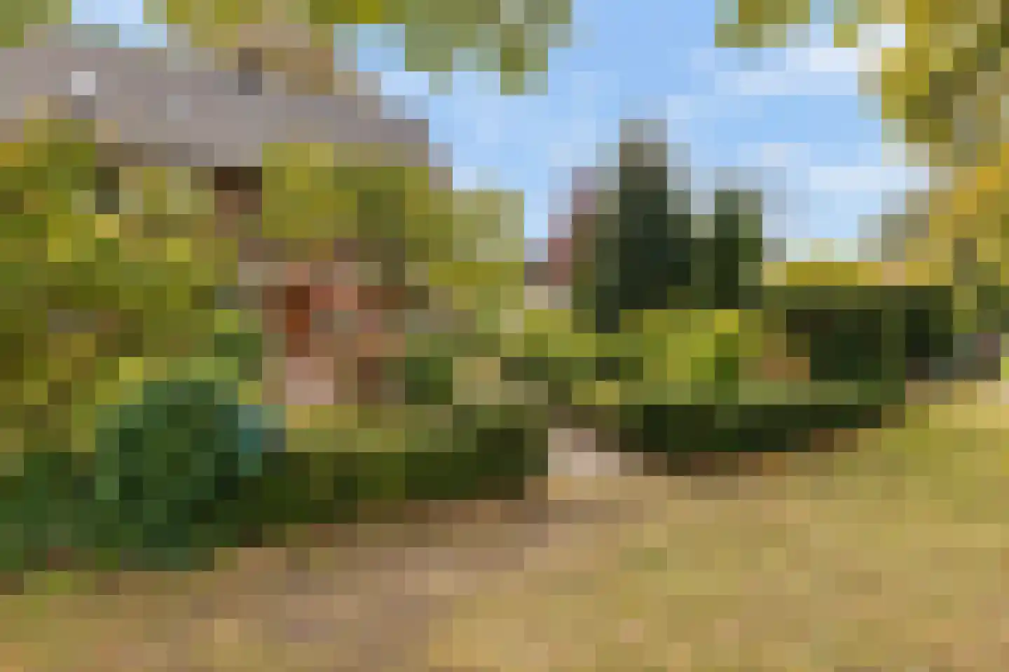 Sterrenboslaan 17 Driebergen-Rijsenburg thumbnail 56