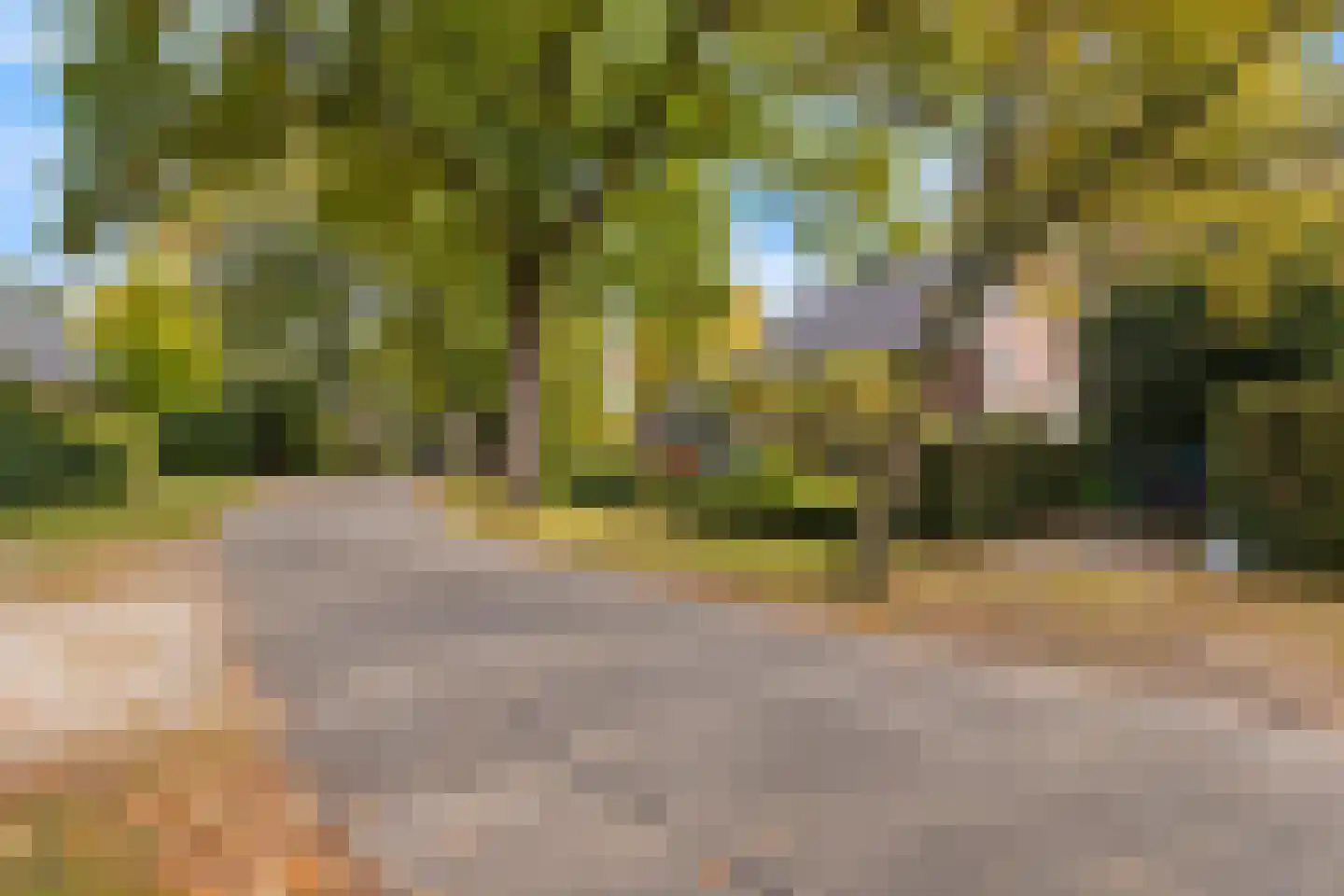 Sterrenboslaan 17 Driebergen-Rijsenburg thumbnail 57