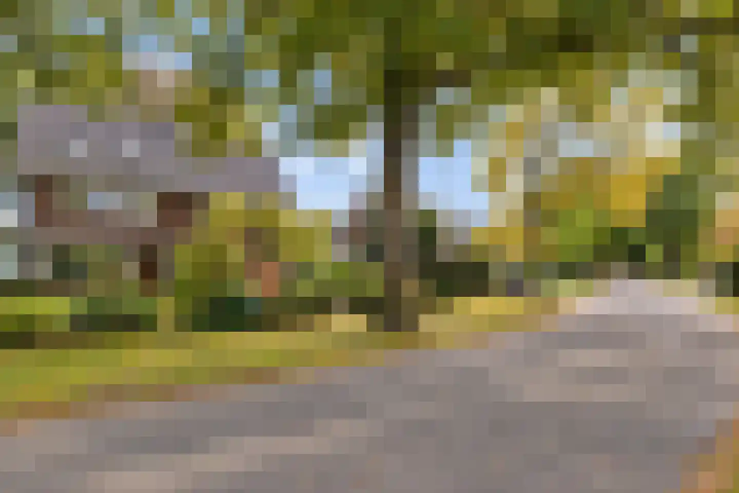 Sterrenboslaan 17 Driebergen-Rijsenburg thumbnail 58
