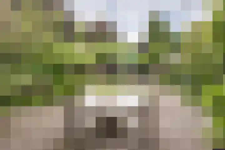 Sterrenboslaan 28 Driebergen-Rijsenburg thumbnail 33
