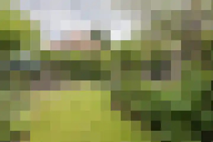 Sterrenboslaan 28 Driebergen-Rijsenburg thumbnail 35