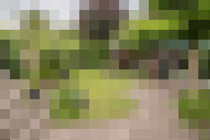 Sterrenboslaan 28 Driebergen-Rijsenburg thumbnail 43