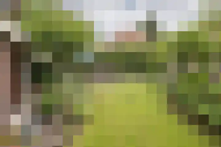 Sterrenboslaan 28 Driebergen-Rijsenburg thumbnail 44