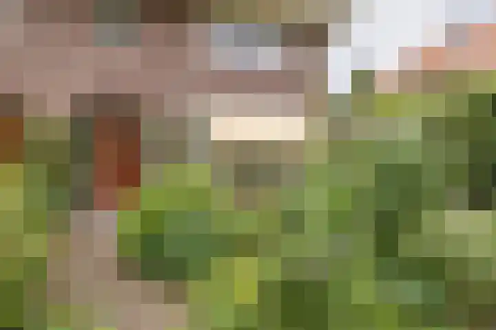 Sterrenboslaan 28 Driebergen-Rijsenburg thumbnail 48