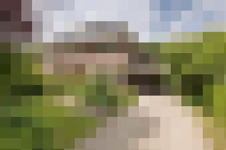 Sterrenboslaan 28 Driebergen-Rijsenburg thumbnail 55