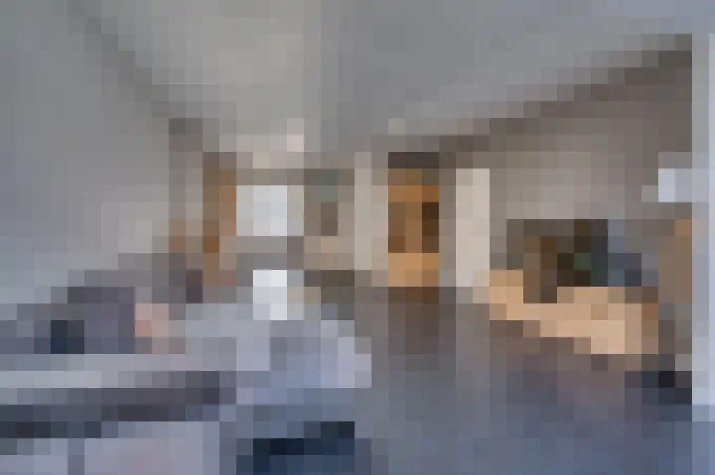 Sterrenbosweg 54 Reuver thumbnail 6