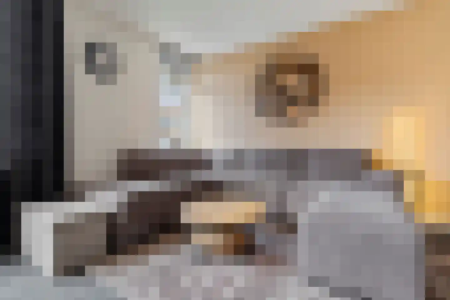 Sterrenbosweg 7 Reuver thumbnail 10