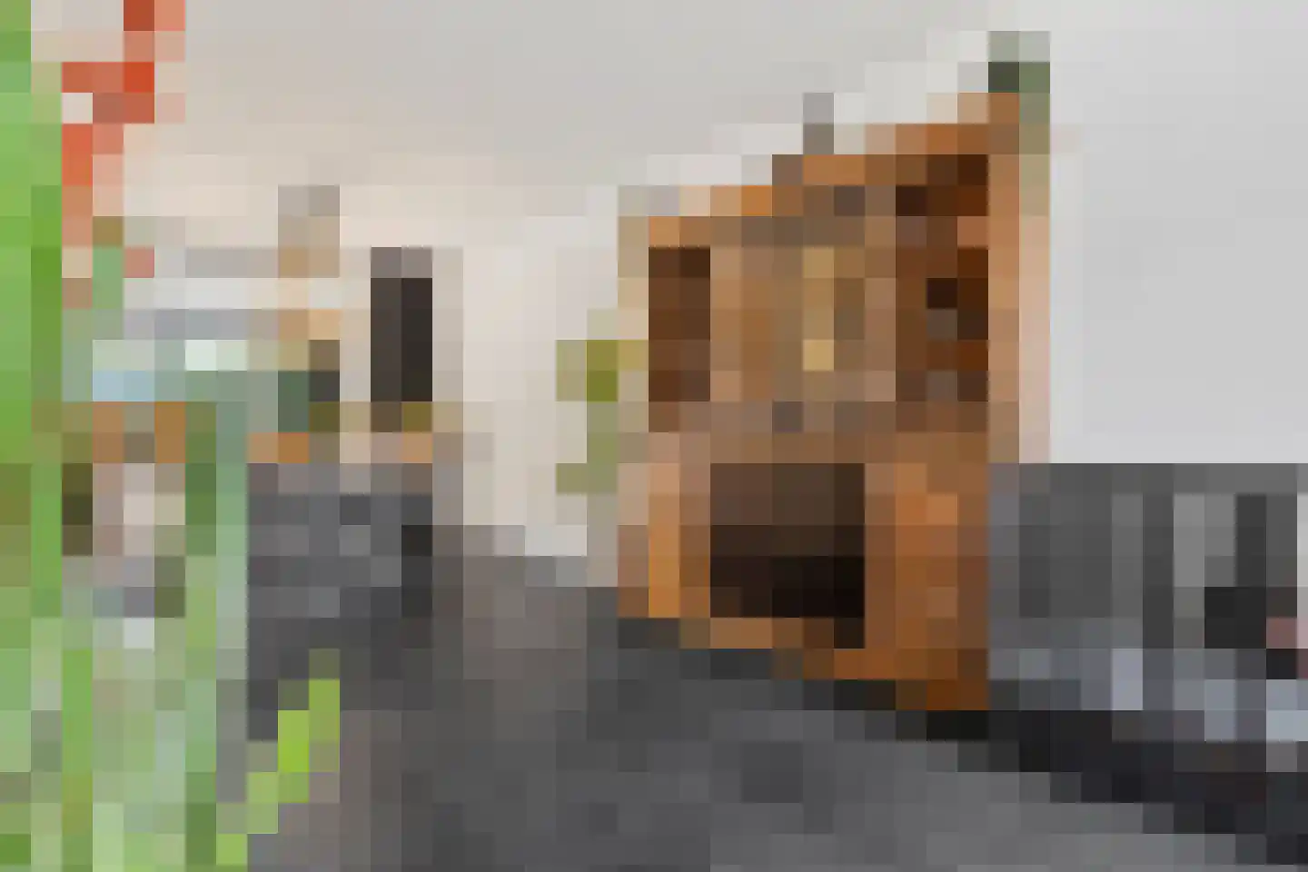 Sterrenbosweg 7 Reuver thumbnail 14