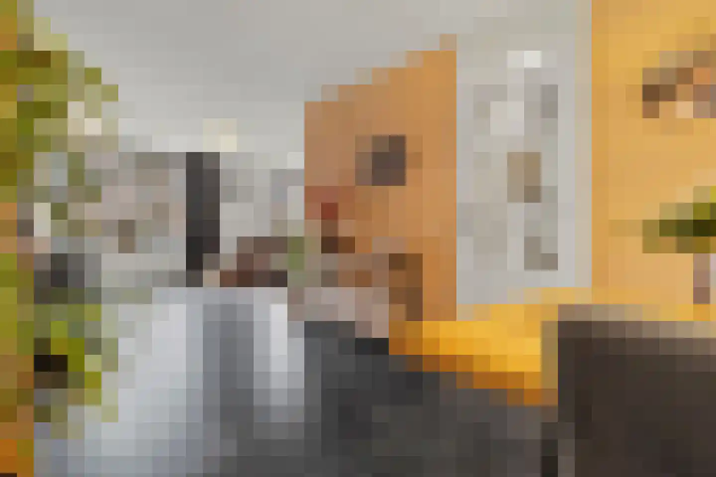 Sterrenbosweg 7 Reuver thumbnail 17