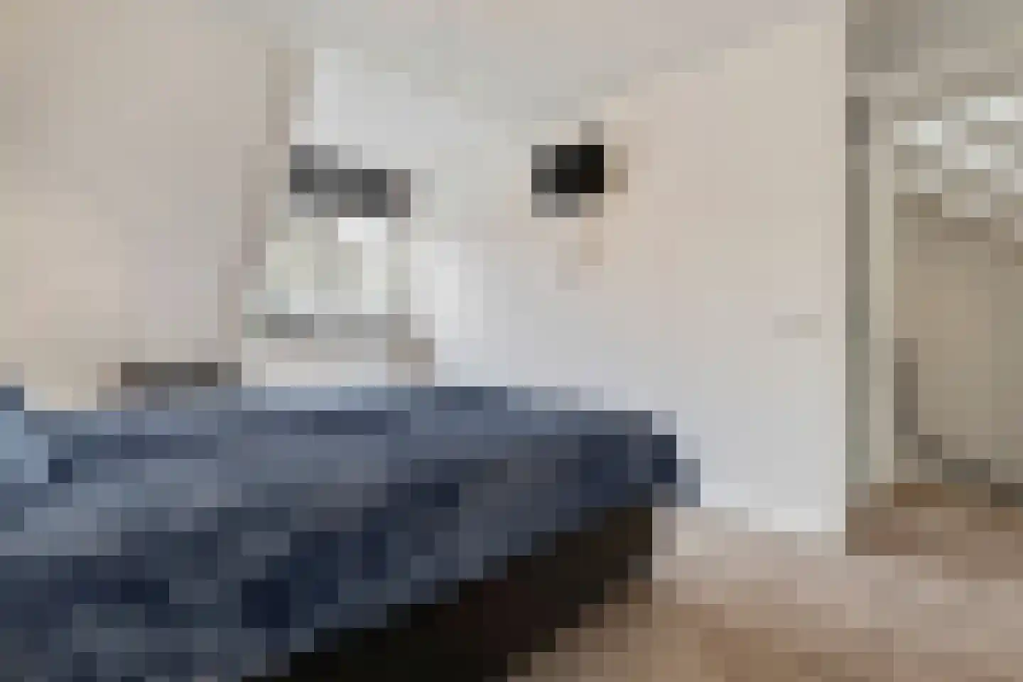Sterrenbosweg 7 Reuver thumbnail 28