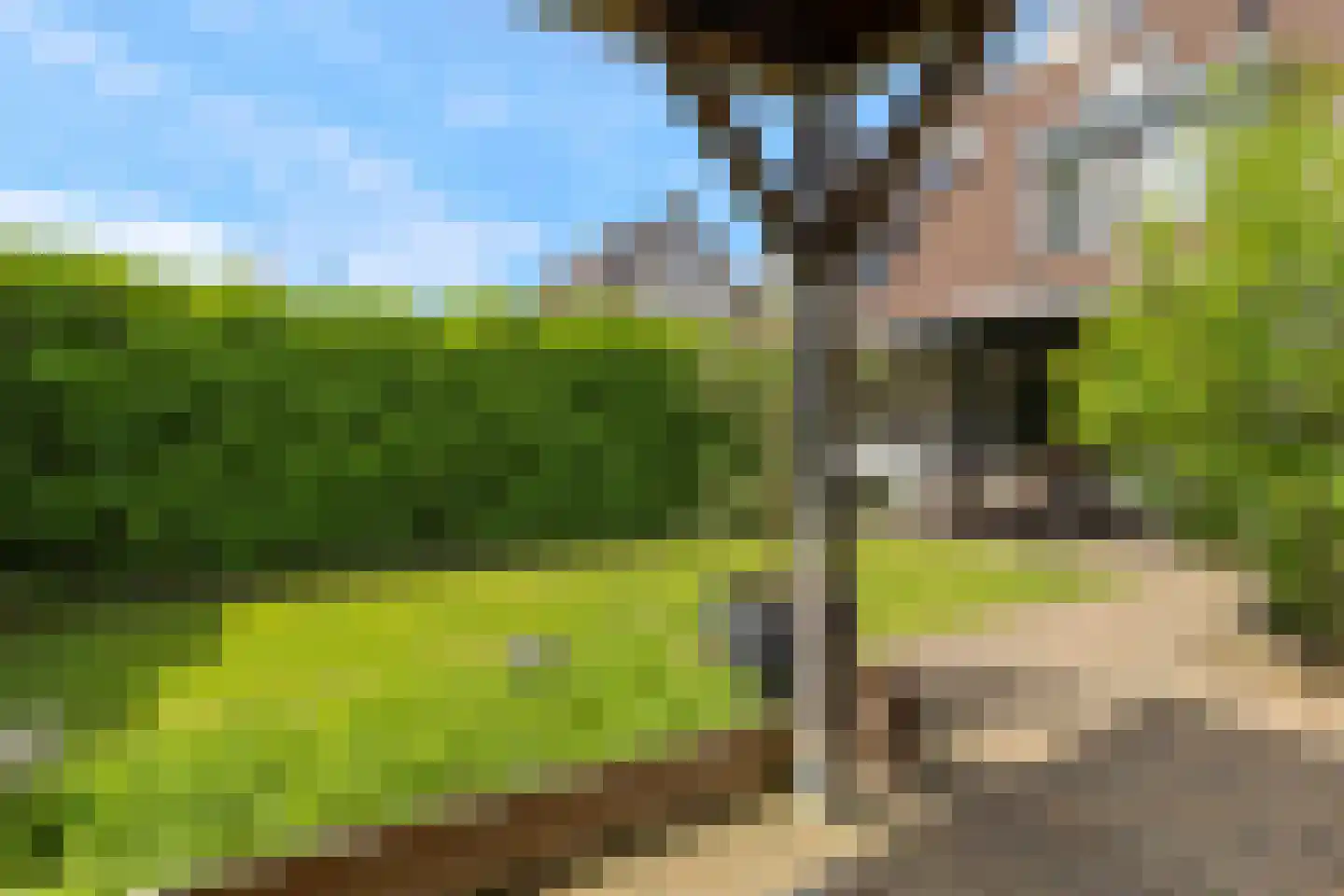 Sterrenbosweg 7 Reuver thumbnail 44