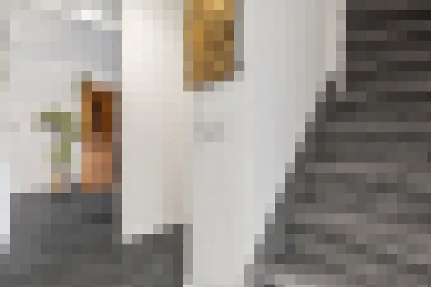Sterrenbosweg 7 Reuver thumbnail 6