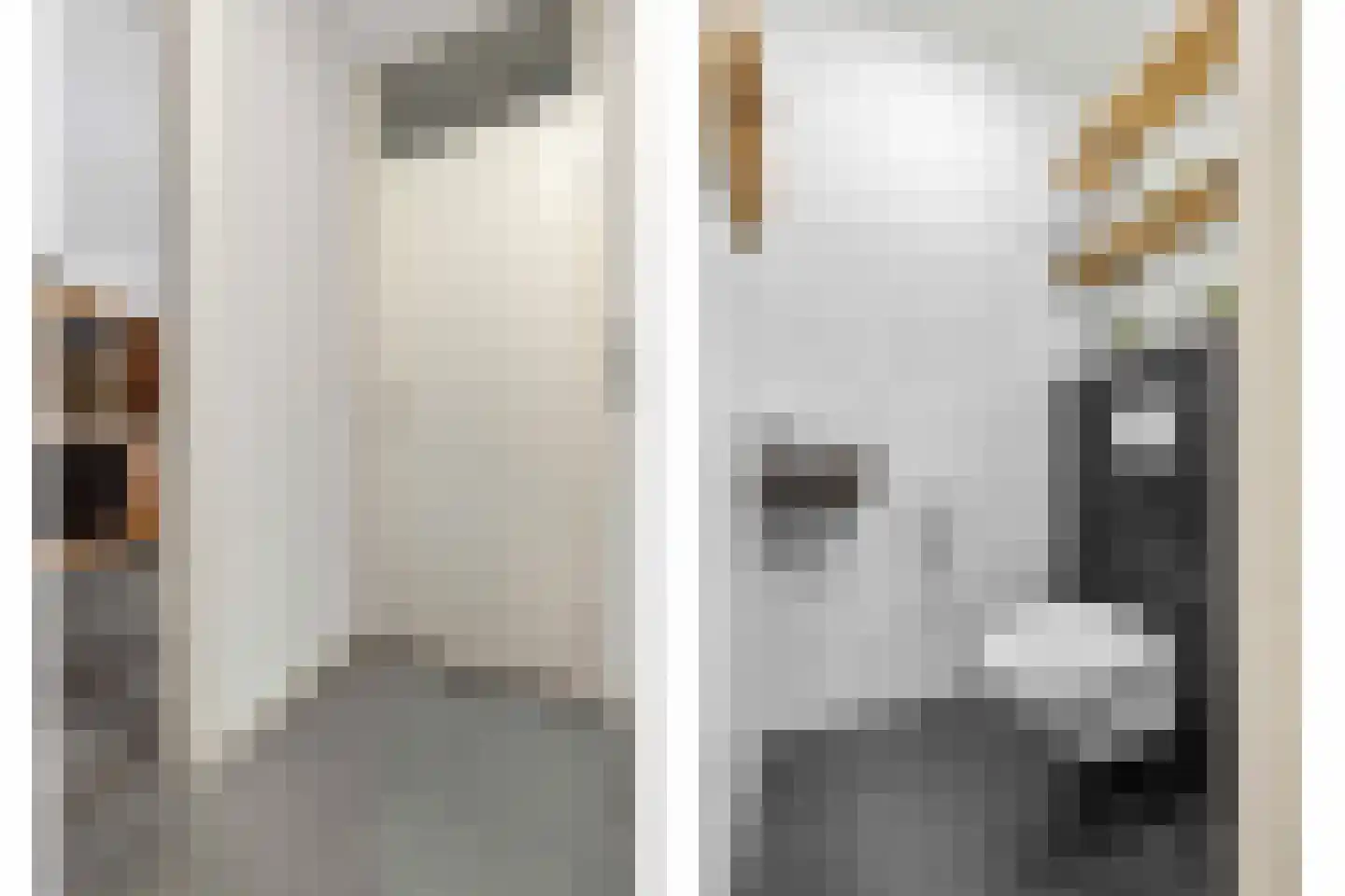 Sterrenbosweg 7 Reuver thumbnail 7