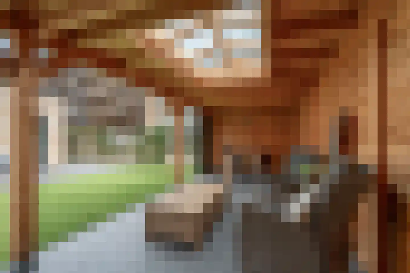 Sterrenkroos 1 Bergen op Zoom thumbnail 17