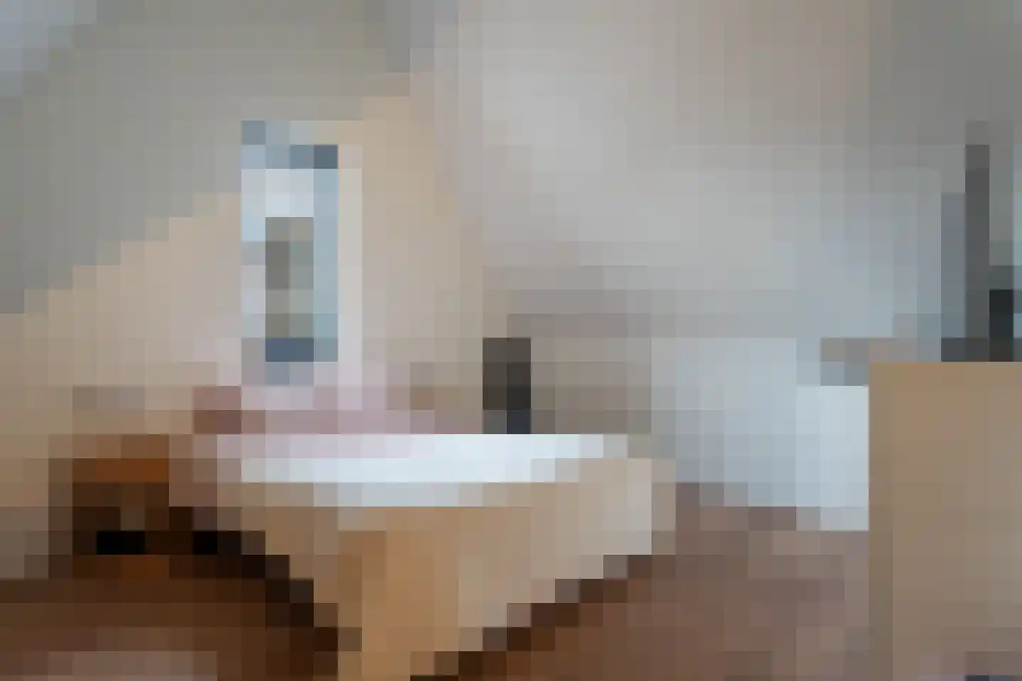 Sterrenkroos 1 Bergen op Zoom thumbnail 30