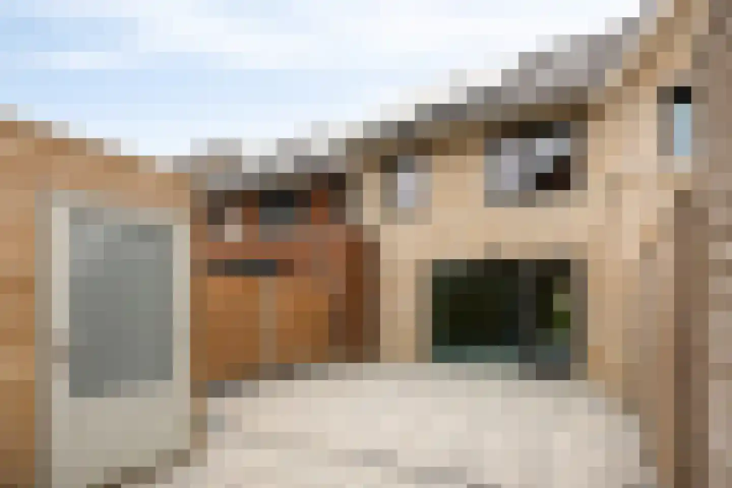 Sterrenkroos 11 Bergen op Zoom thumbnail 23