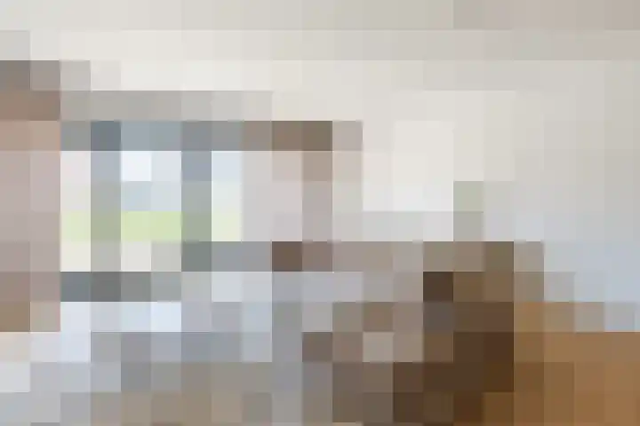 Sterrenkroos 12 Bergen op Zoom thumbnail 16