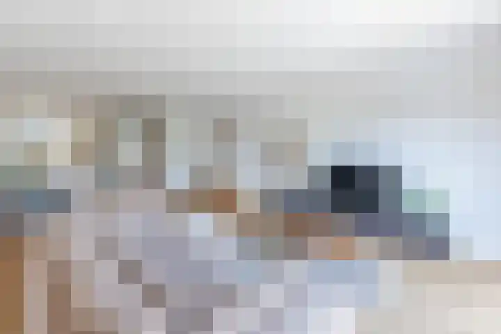 Sterrenkroos 12 Bergen op Zoom thumbnail 18