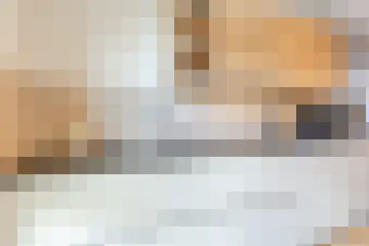 Sterrenkroos 12 Bergen op Zoom thumbnail 26