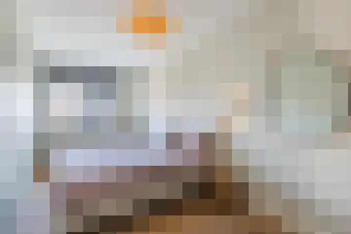 Sterrenkroos 12 Bergen op Zoom thumbnail 33