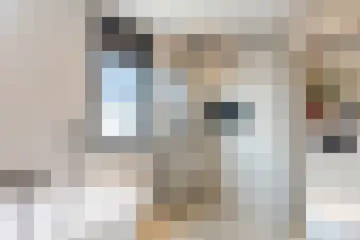 Sterrenkroos 12 Bergen op Zoom thumbnail 52