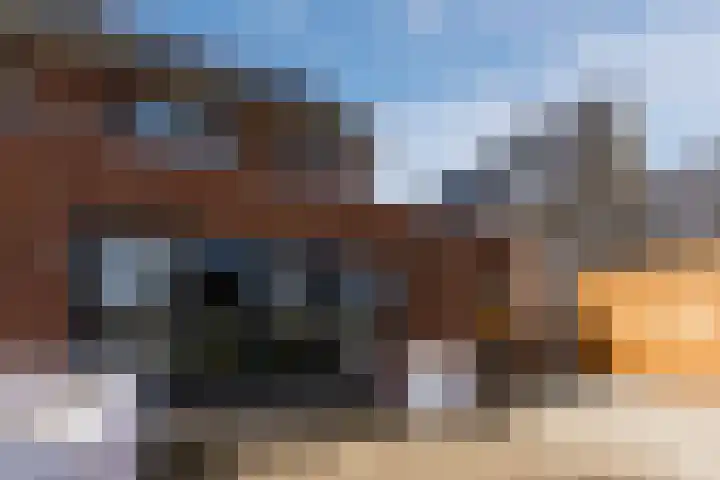 Sterrenkroos 12 Bergen op Zoom thumbnail 65